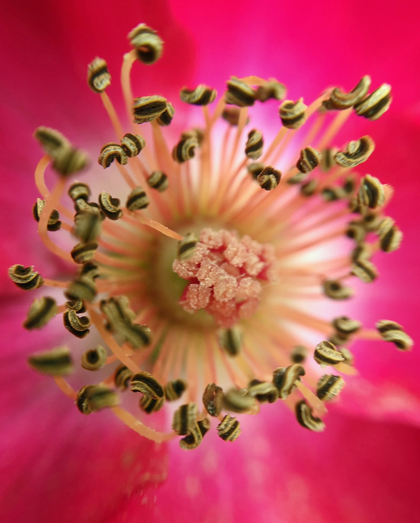Nature Photography Contest Get Outdoors Kansas